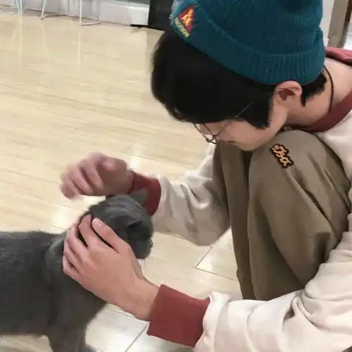 头像想你时我就是一颗山楂脸红又心酸
