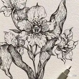 100张手绘精品素材
