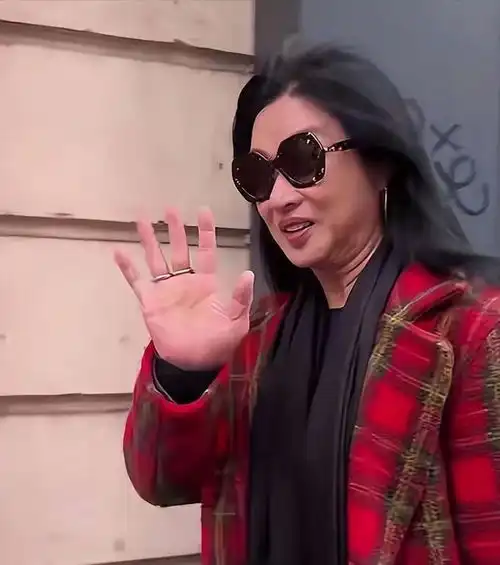 风光不再做了这么多年女人,如今57岁的金星,面相已经大变
