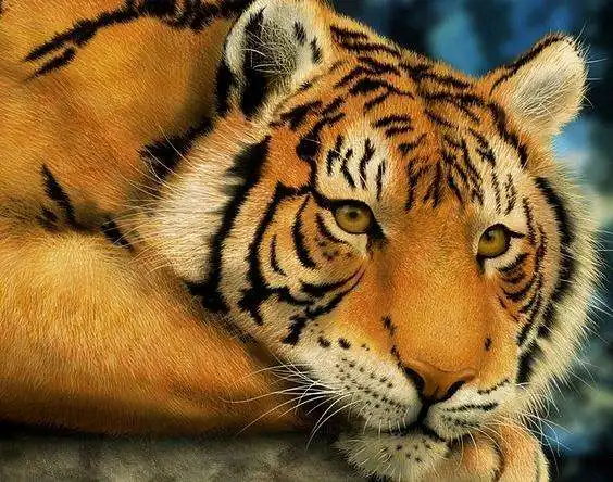 这三生肖人生开了挂,横财运降临到家门口
