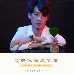 悲伤似满天飞雪
