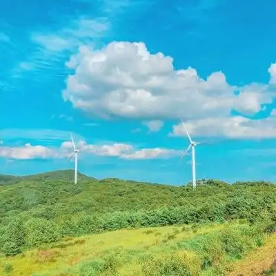爱游戏爱体育app苹果
