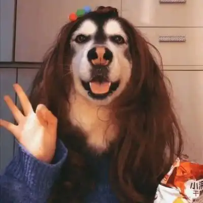 有趣任性很皮的网名令人发笑可爱点
