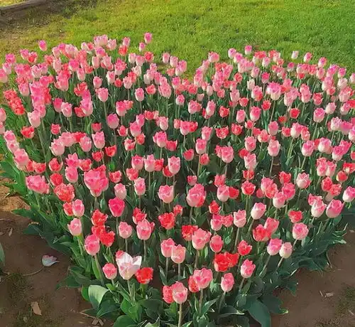 男生喜欢你的表现,尤其是第九个特别准确
