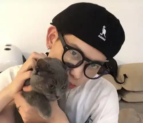 今日份推荐的可爱抱猫男头