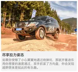 放心去撒野试东风日产2017款全新途乐
