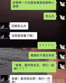 直男vs直女,两大奇葩神级对话,网友分分钟吐血
