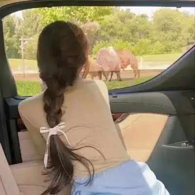 ins意境女生头像南风在赶来与女生头像我要个性网
