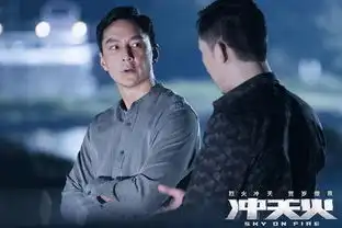 冲天火林岭东打造最硬电影探讨现实暴力获观众点赞
