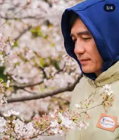 刘嘉玲晒与梁朝伟赏樱合照无惧岁月恩爱如初羡煞旁人
