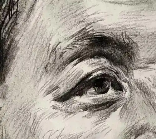 教程教你画标准式四分之三侧男中年素描头像
