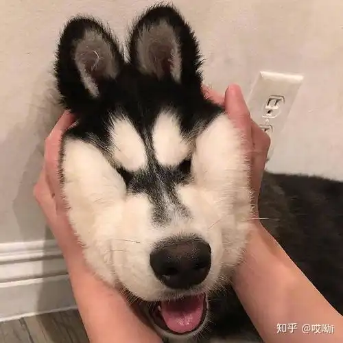 cp男头像双人高清沙雕真