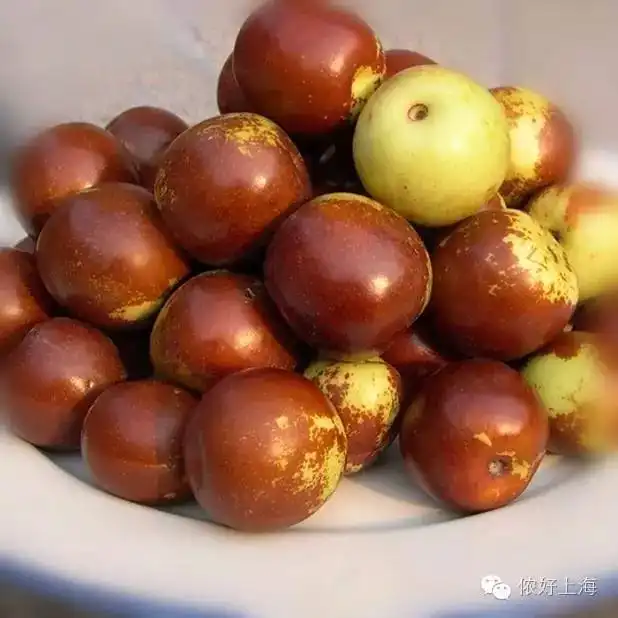 每逢佳节胖三斤上海人最有口福的季节来了全部吃一遍假期就圆满啦
