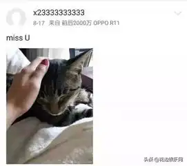 33岁杨幂自夸老子太美非主流博文骂脏话,她也是沙雕女孩
