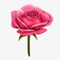 情人节红色的玫瑰花图片素材其他格式下载动漫人物大全