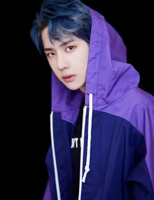 当男明星遇上紫发吴亦凡辣眼睛,何炅显老,杨洋靠颜值在撑
