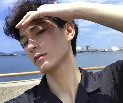 马路上的帅哥快灭绝了,还是看看网上的吧
