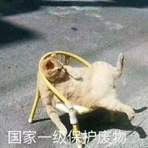 2024年大数据最新数据结构二叉树简单吗重建二叉树了解一下,2024年最新大数据开发面试宝典2024
