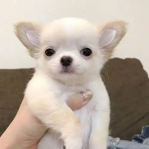 头像很少会有人注意到我的名字
