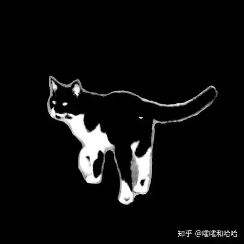 为什么现在男生都喜欢用猫当头像
