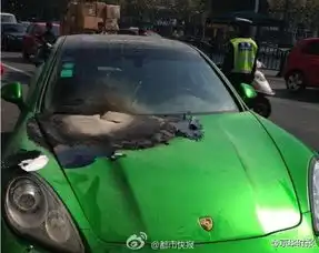 浙江论坛图片集锦
