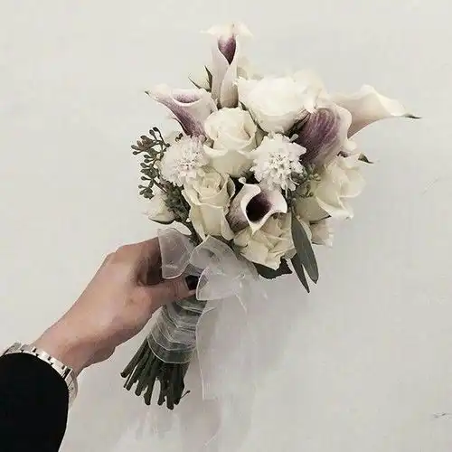 风很大的微生态护肤没有国货的地位
