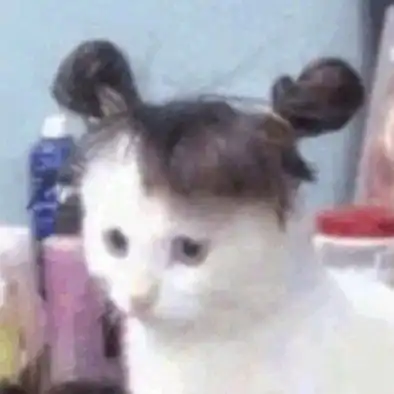做搞笑女男超酷的好吧2
