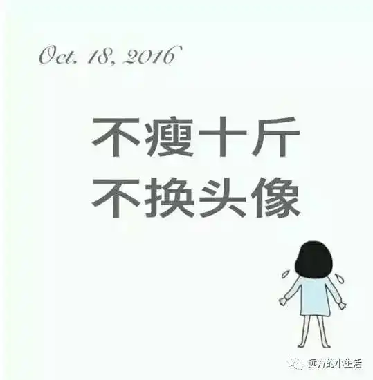 不瘦不换头像
