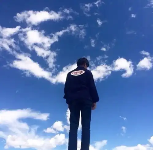 韩系男头
