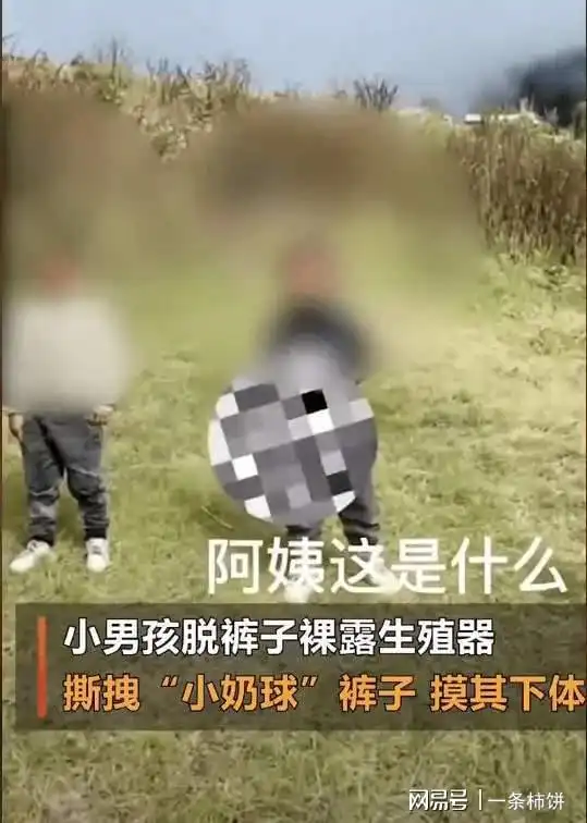 人气女网红雪山直播被上下猥亵,本地多名小男孩脱裤炫耀太毁三观
