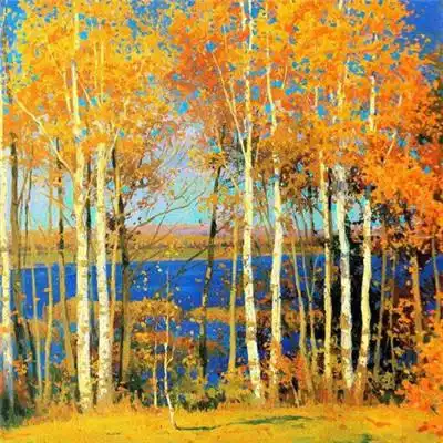 so导航猫绅中国官方网站iosandroid通用版
