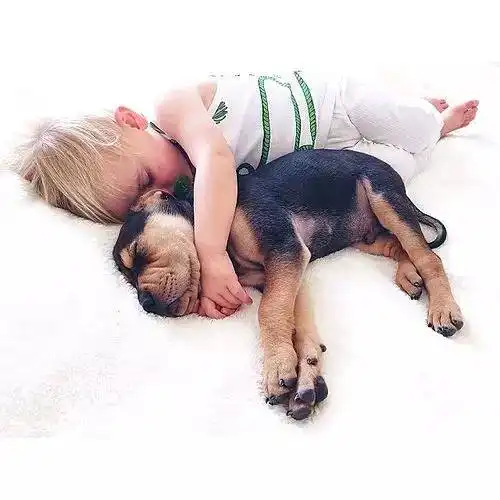 这绝对是今年最性感的情侣睡姿
