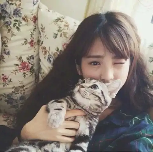 提高颜值,就靠发际线
