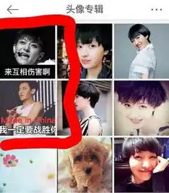 甄嬛传女星靠金主上位鹿晗也缺席跑男骗婚的gay主持杨洋用黄子韬头像
