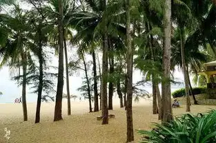 醉美三亚上天涯不到海角不夜天
