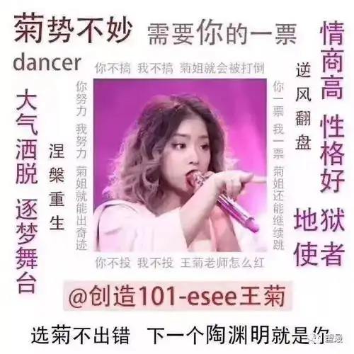 直男们是怎么看王菊的
