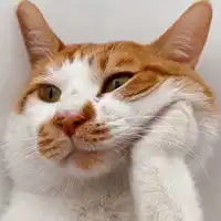 qq网名qq头像qq分组qq个性签名qq网名大全扣扣居
