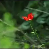长路漫漫陪你一起走合唱版

