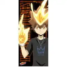 有几个人知道家庭教师这部动漫
