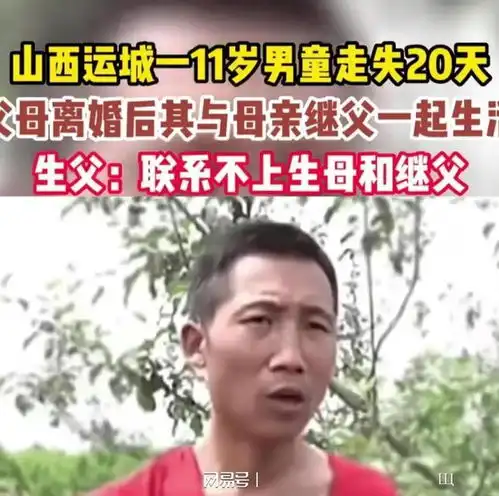 孩子身上没一处好皮临猗10岁男孩被生母继父杀害,死后藏尸祖坟
