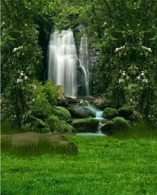 能量运气正能量钱
