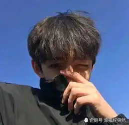 这是什么发型
