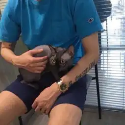 机枪连null照片机枪连null相册大全yy官方
