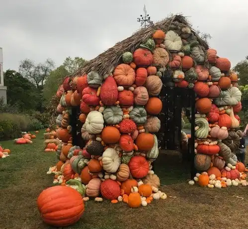 网友晒照那些偶然发现的,却令人惊叹的存在
