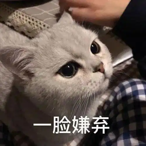 上实考了往年真题wlsa光剑更难了本周末世外平和的春招考试,你准备好了吗
