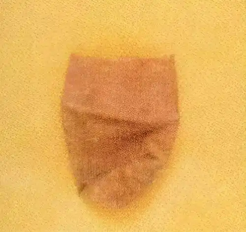 这条珍贵的金蚕,当年无人问津
