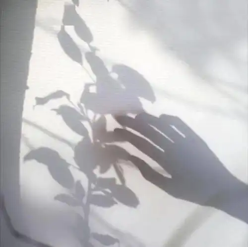 头像壁纸浮生若梦,为欢几何
