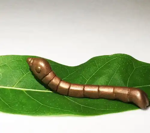 农民摸鱼捞到一条金蚕,拒绝2万收购,上交后为国争光
