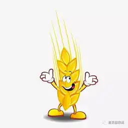 眉县2019年小麦秋播技术指导意见
