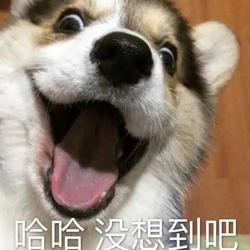 沙雕表情我的天空在下着小雨
